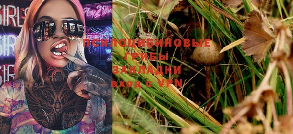 PSILOCYBIN Армянск