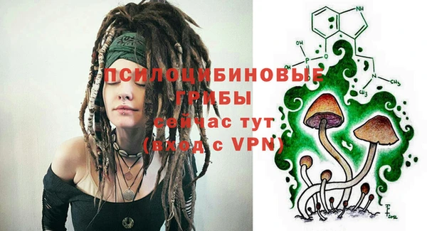 PSILOCYBIN Армянск