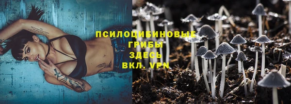 MESCALINE Аркадак